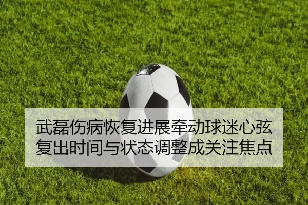 武磊伤病恢复进展牵动球迷心弦 复出时间与状态调整成关注焦点